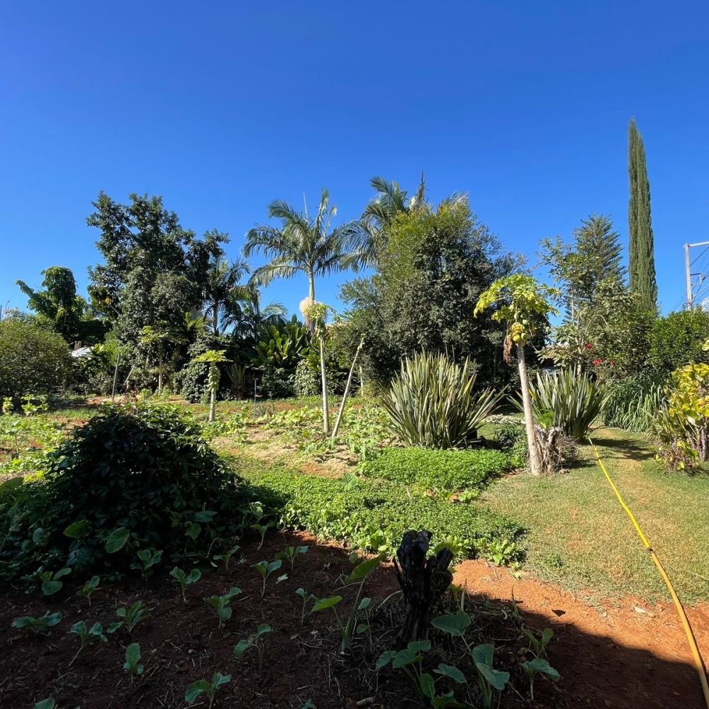 WhatsApp Image 2024-05-31 at 15.29.22 (2)