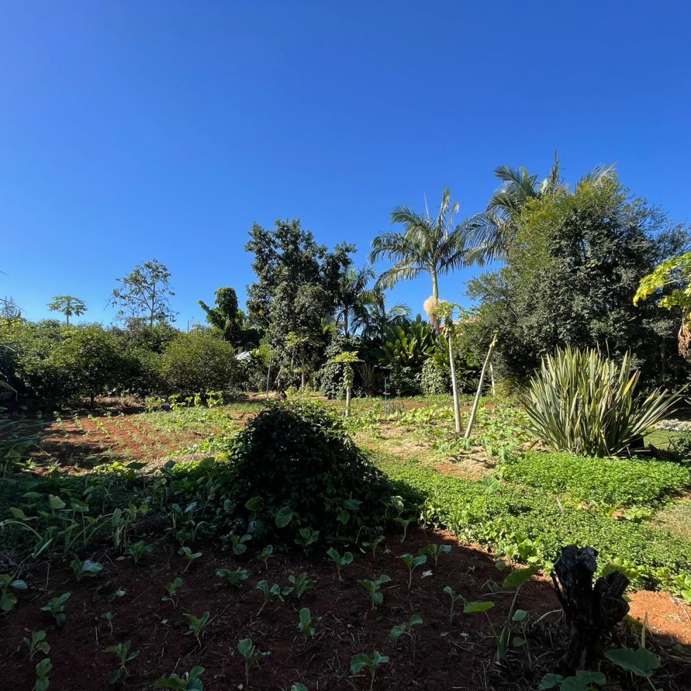 WhatsApp Image 2024-05-31 at 15.29.22 (3)