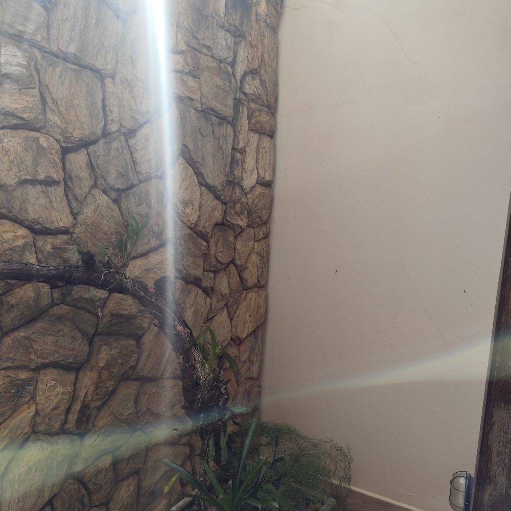 WhatsApp Image 2025-10-31 at 15.21.21